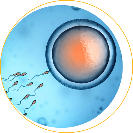 Who can benefit from IVF with donated embryos?