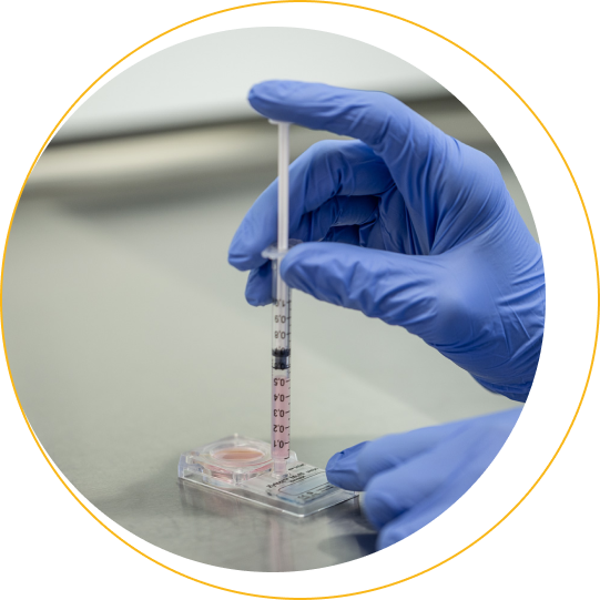 Mikrofluidische Spermasortierung